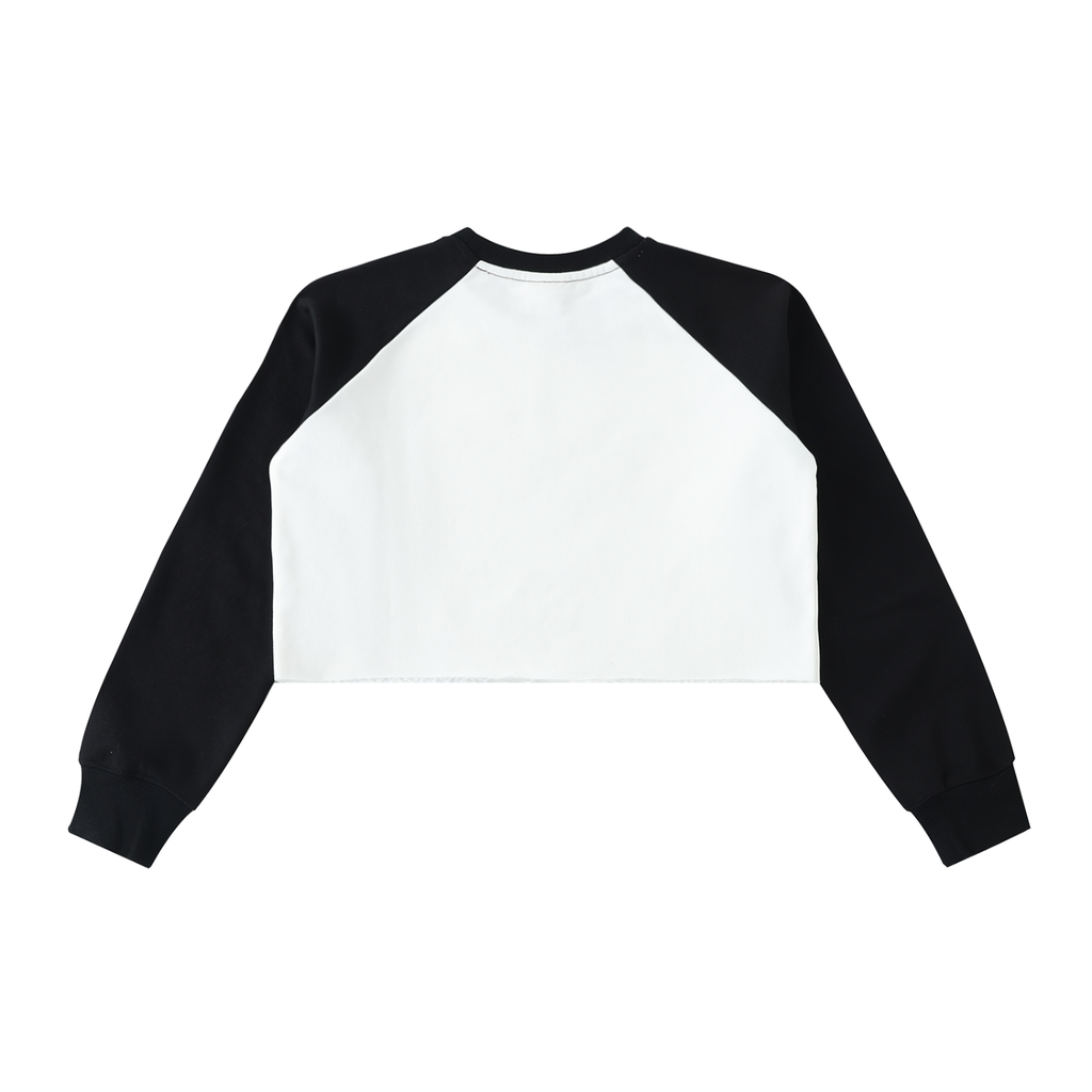 Colour Block Crop Sweatshirt