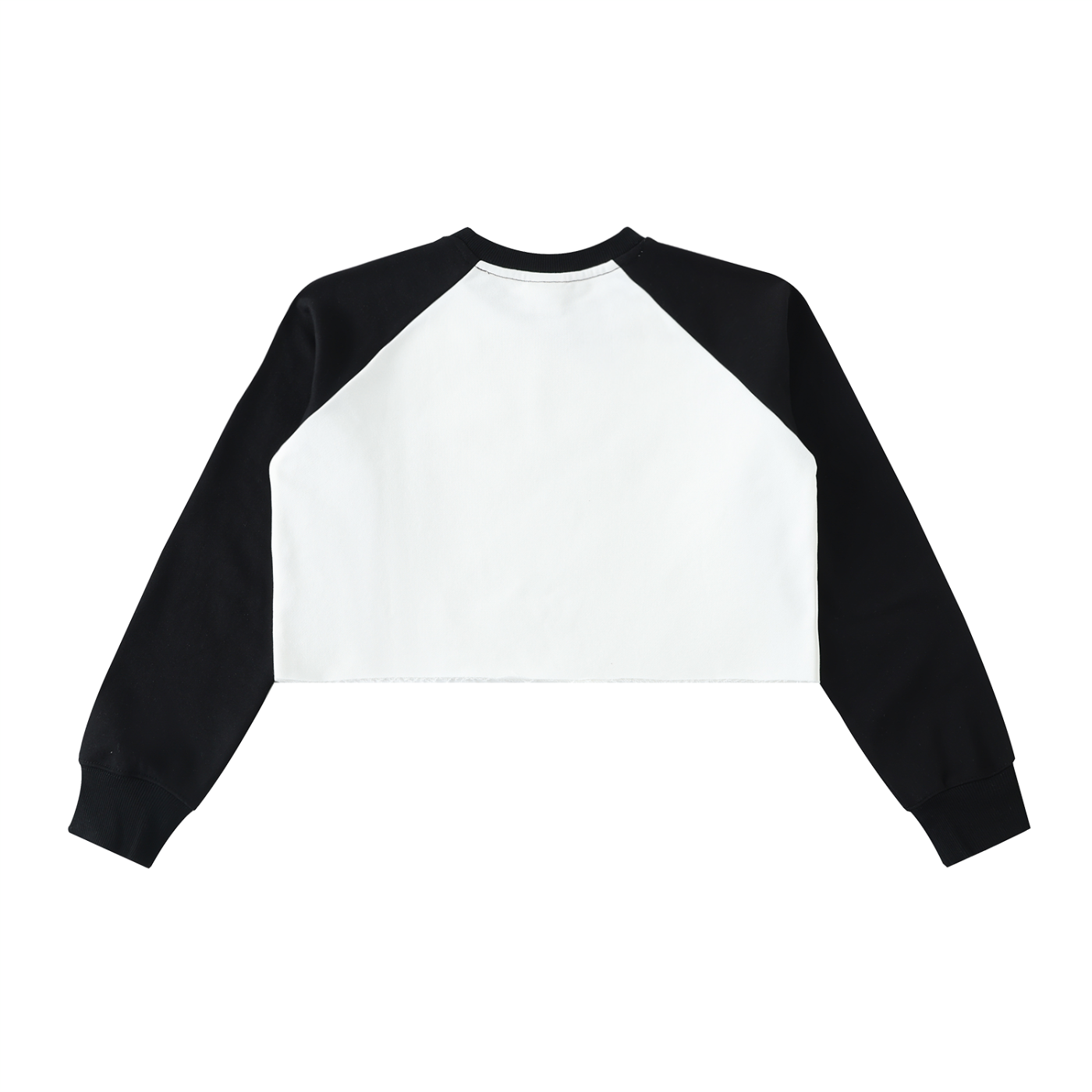 Colour Block Crop Sweatshirt