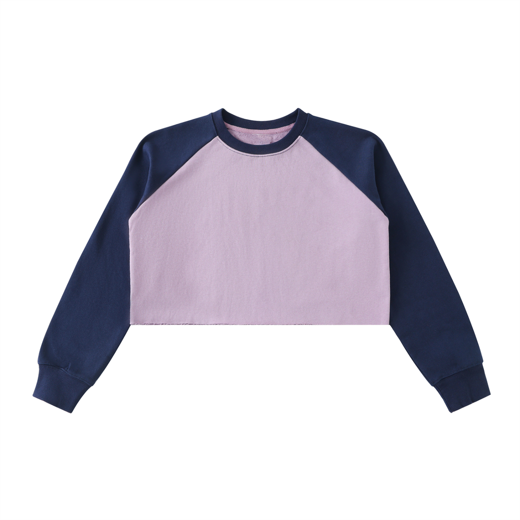 Colour Block Crop Sweatshirt