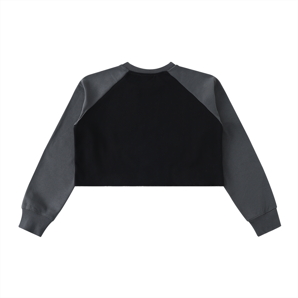 Colour Block Crop Sweatshirt