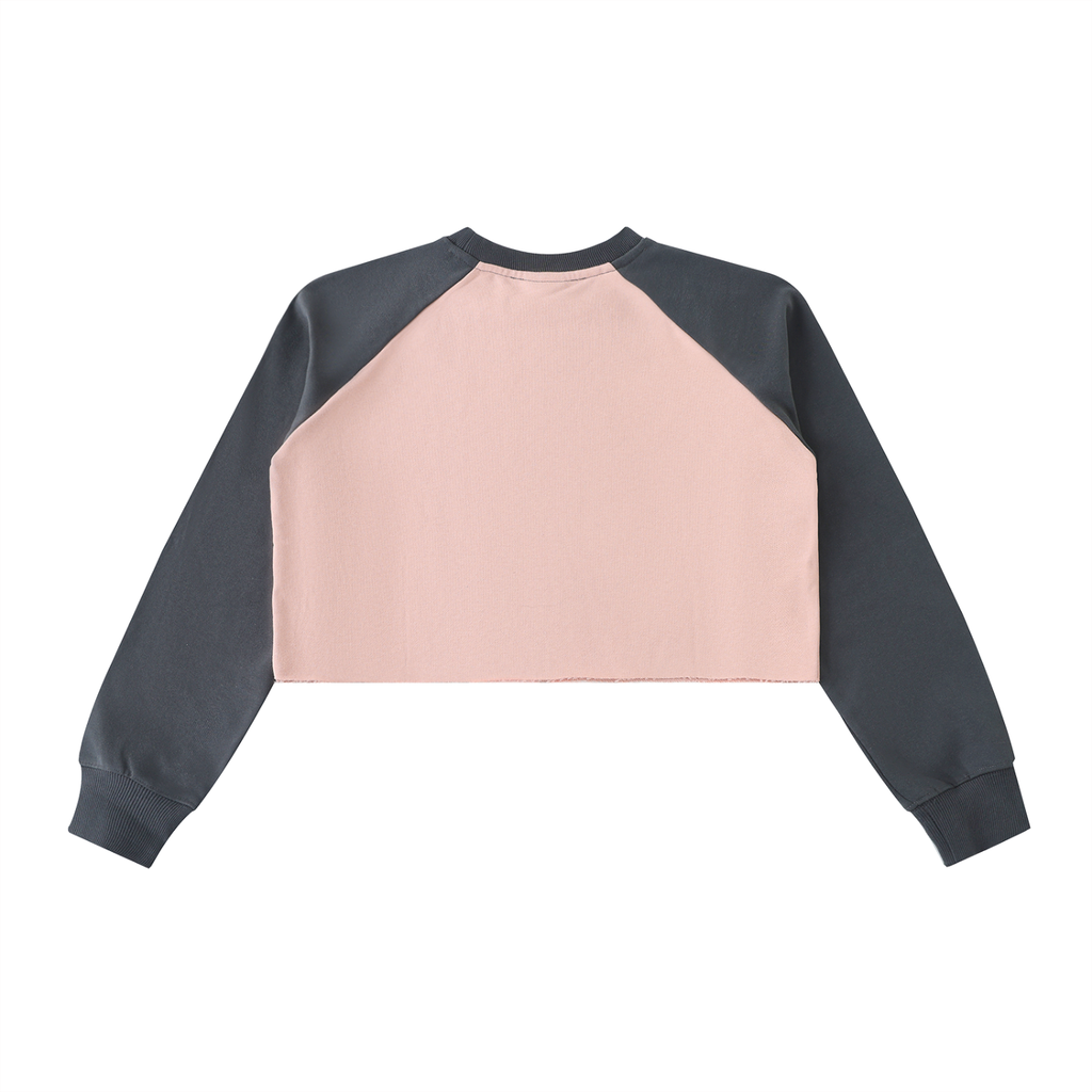 Colour Block Crop Sweatshirt